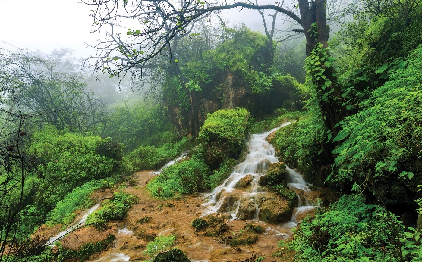 Salalah: Oman’s Unmissable Gem