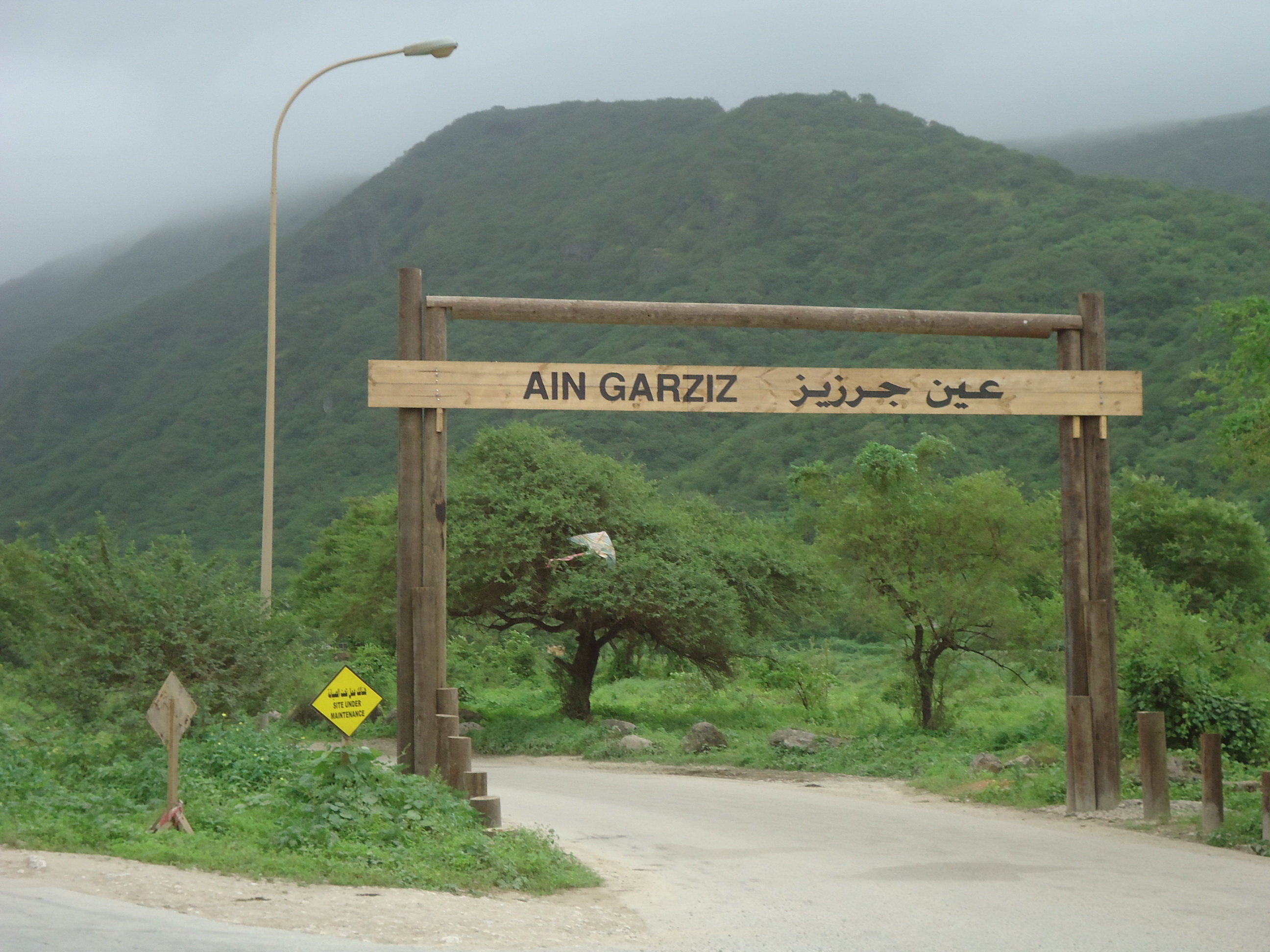 5 Places to Visit in Salalah