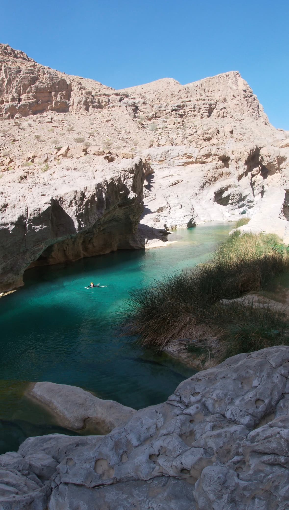 Dive Into The Desert 3